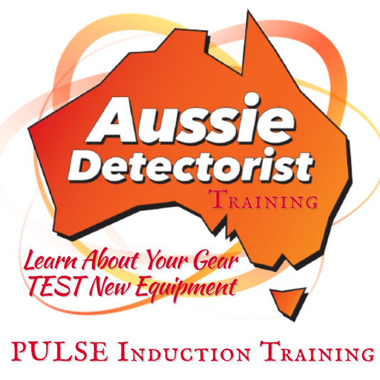 Pulse Induction Metal Detector Training - 2026