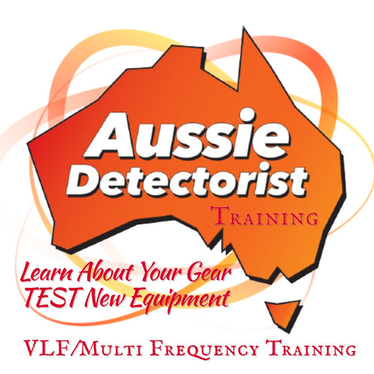 VLF Metal Detector Training 3 Hour session Sofala NSW - 2026